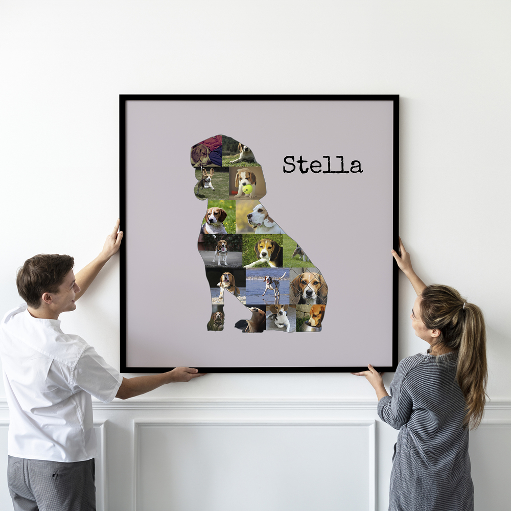 Collage de fotos grande en silueta de beagle sentado con nombre sobre rosa palo, con marco negro en la pared