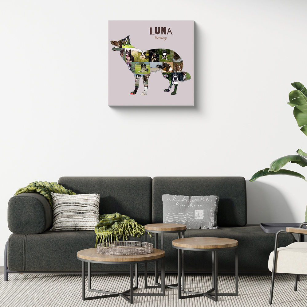 Collage de fotos en lienzo con silueta de border collie de pie y nombre sobre fondo rosa, encima de un sofá oscuro