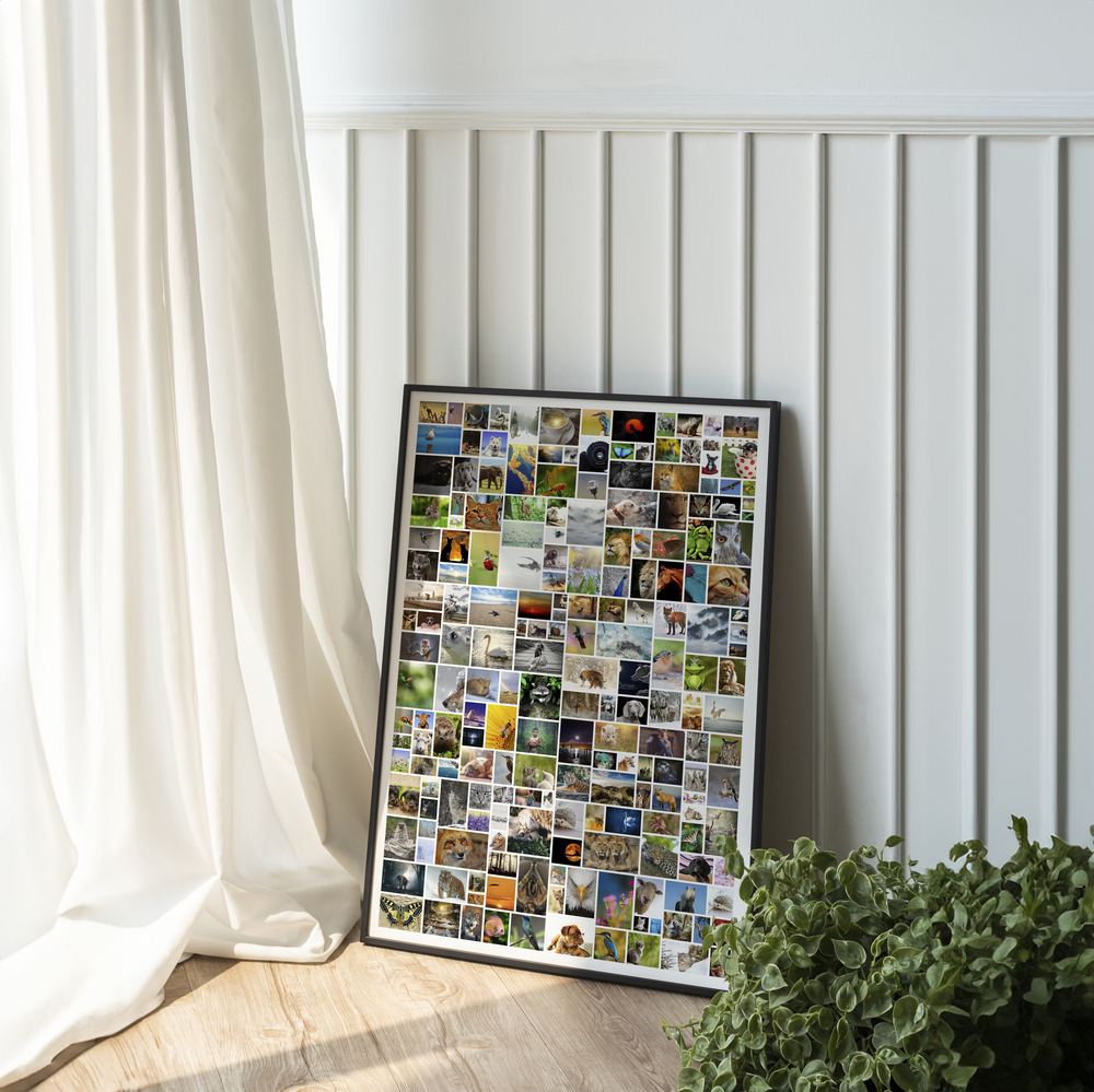 Collage de muchas fotos de naturaleza con marco negro, apoyado en una pared de paneles junto a una ventana