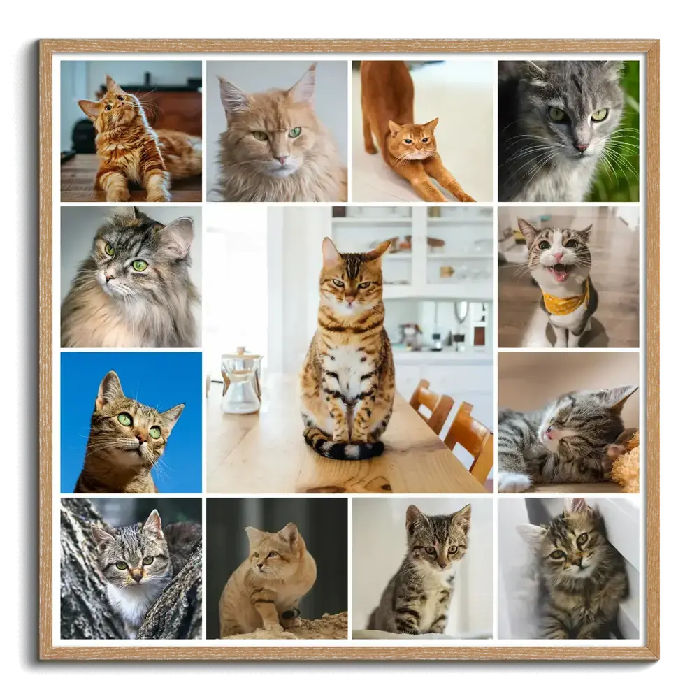 Collage de fotos de gatos con marco de madera natural y foto central grande, regalo para amantes de los gatos