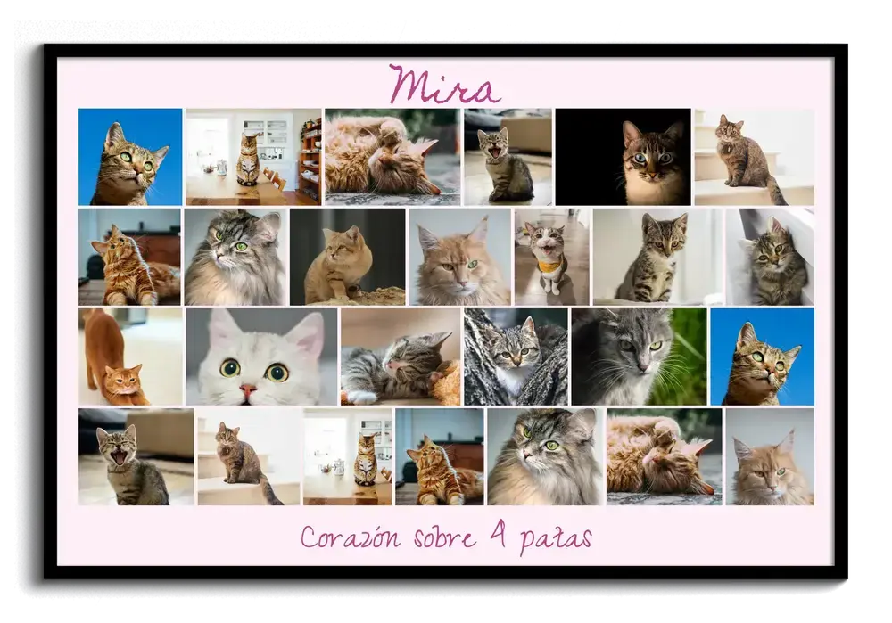 Collage de fotos de gatos con nombre y fondo rosa en marco negro, un regalo para amantes de los gatos