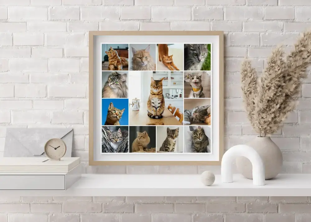 Collage de fotos de gatos con imagen central grande y marco de madera clara sobre una balda ante una pared de ladrillo