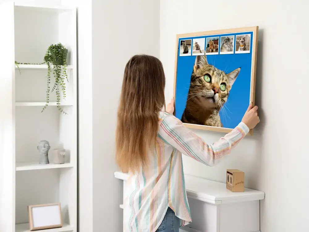 Collage de gatos sobre fondo azul con una fila de fotos pequeñas, enmarcado en madera sobre una cómoda blanca