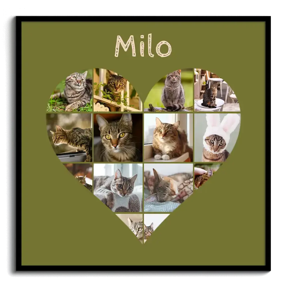 Collage de fotos de gatos en forma de corazón, con nombre sobre fondo verde oliva y marco negro