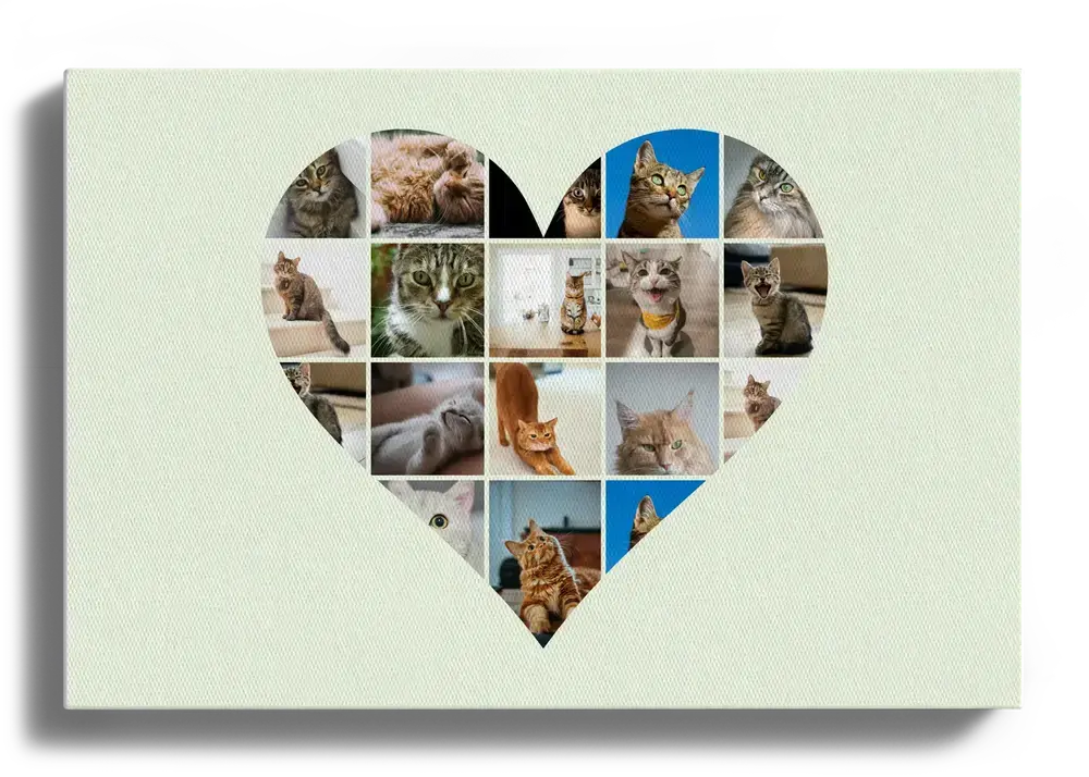 Lienzo horizontal con fotos de gatos en forma de corazón sobre fondo verde claro, para amantes de los gatos