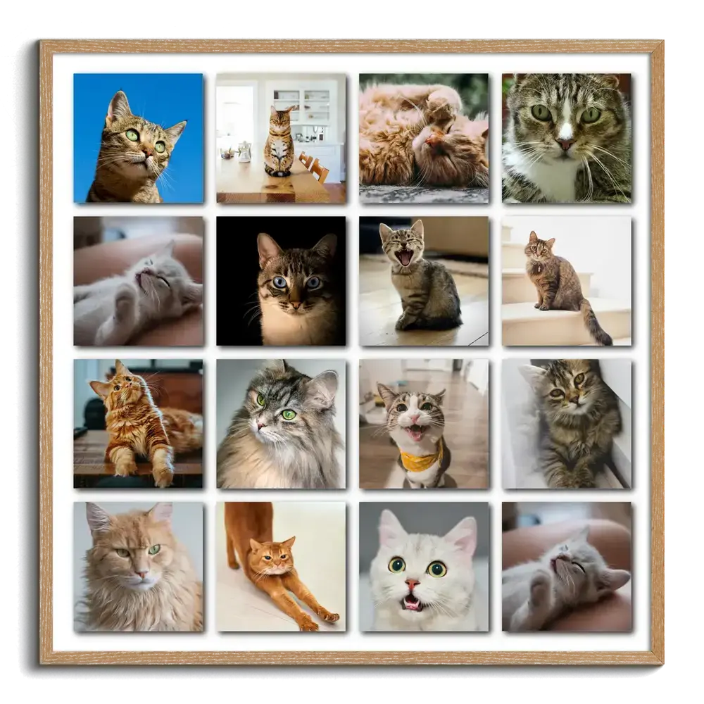 Collage de 16 fotos de gatos en cuadrícula con sombras y marco de madera natural, regalo para amantes de los gatos