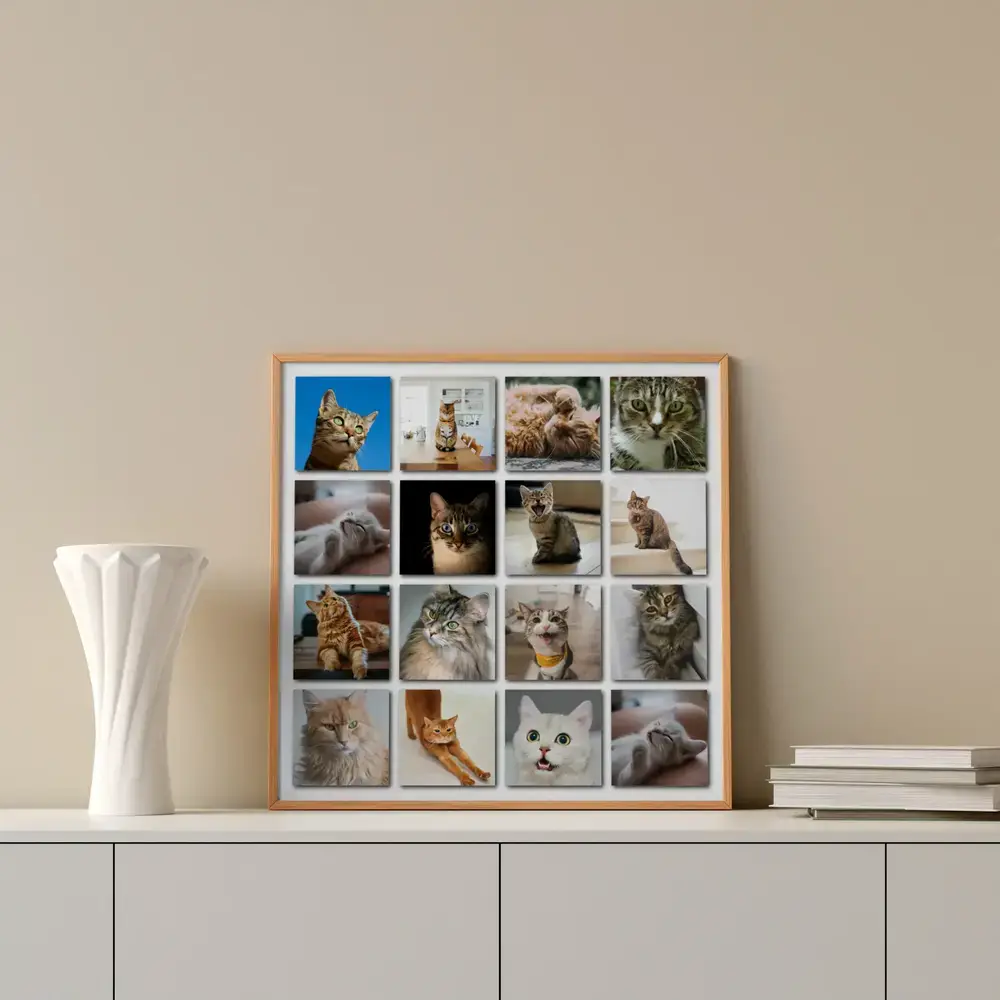 Collage de 16 fotos de gatos en marco de madera sobre un aparador blanco, junto a un jarrón y unos libros