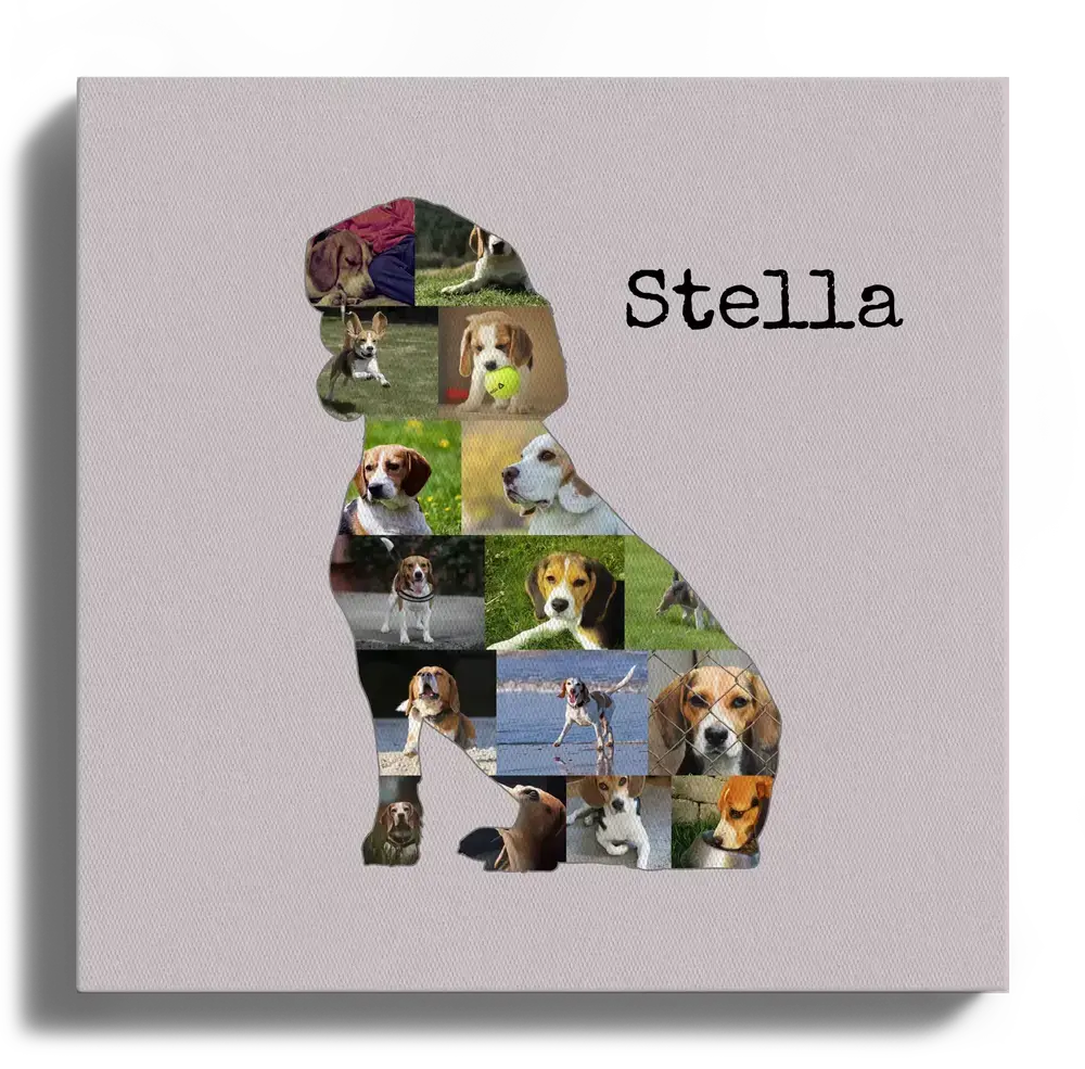 Collage de fotos en lienzo con silueta de beagle sentado y nombre sobre fondo rosa empolvado