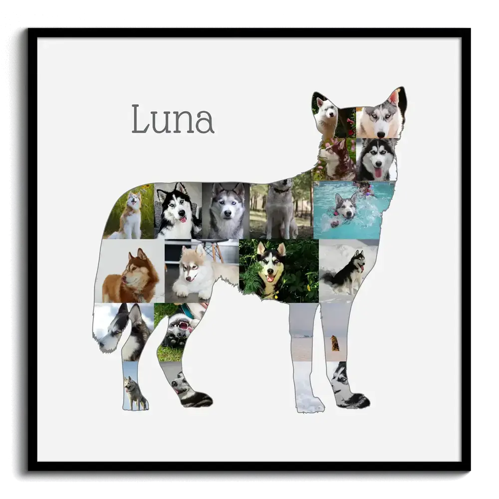 Collage de fotos en silueta de husky de pie, con nombre y marco negro, regalo para amantes de los perros