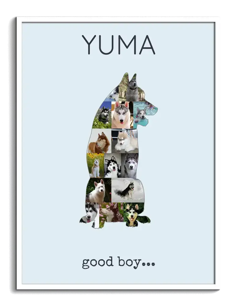 Collage de fotos en silueta de husky sentado sobre fondo azul claro, con nombre y texto en un marco blanco