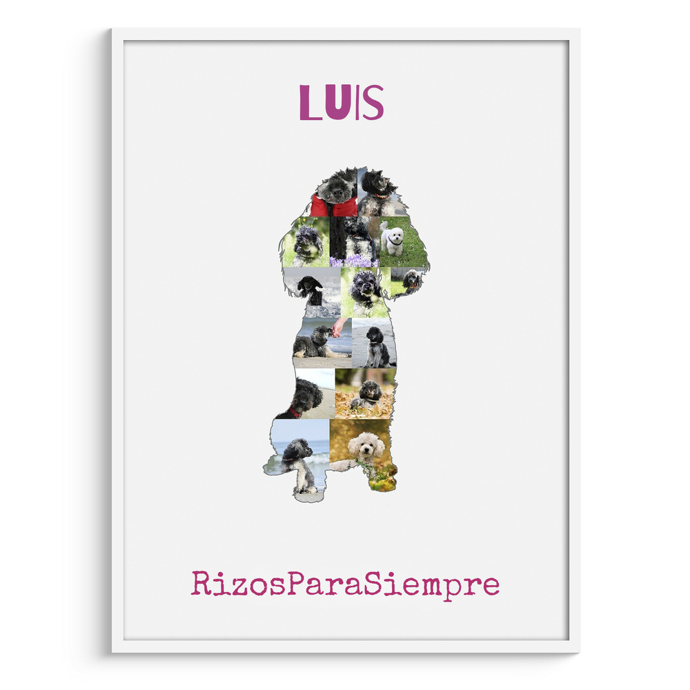 Collage de fotos con silueta de caniche enano, nombre y frase en marco blanco, regalo para amantes de los perros
