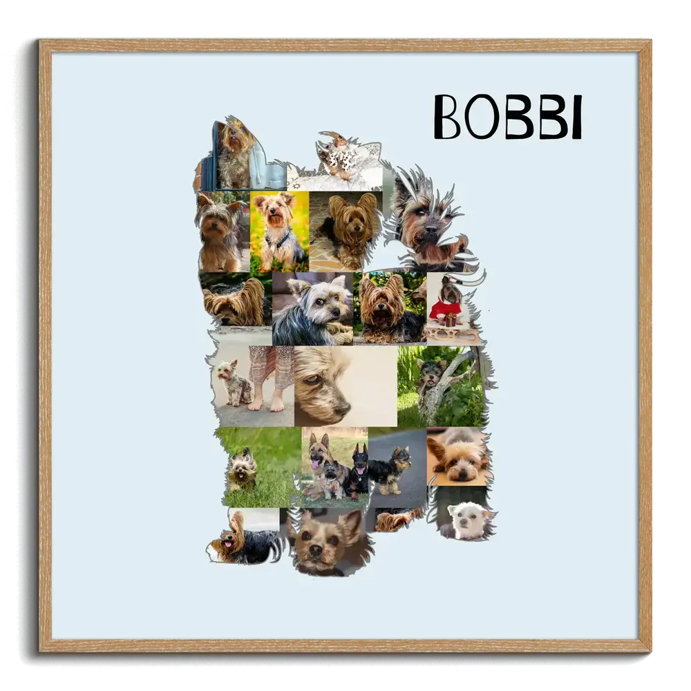 Collage de fotos con silueta de Yorkshire Terrier y nombre sobre fondo azul claro, en marco de madera natural