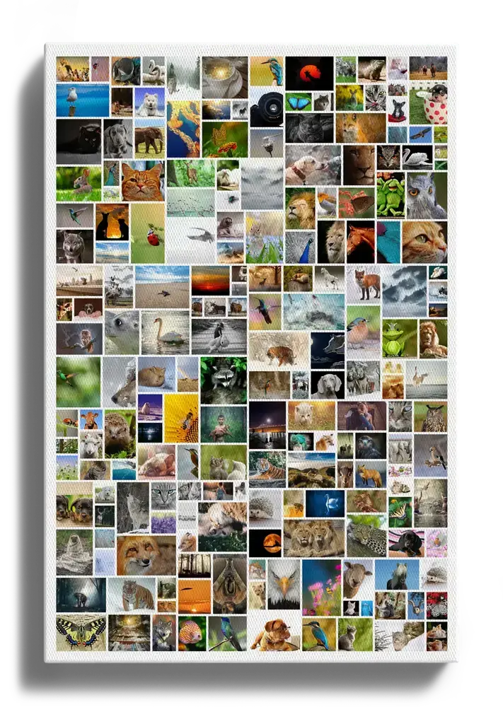Collage de fotos en lienzo vertical con muchas imágenes de animales y naturaleza en distintos tamaños