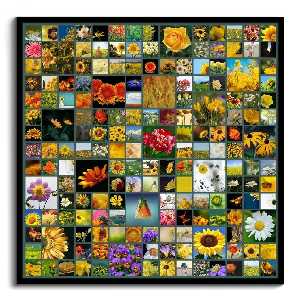 Collage de fotos cuadrado con muchas flores de colores en casillas de distintos tamaños y marco negro
