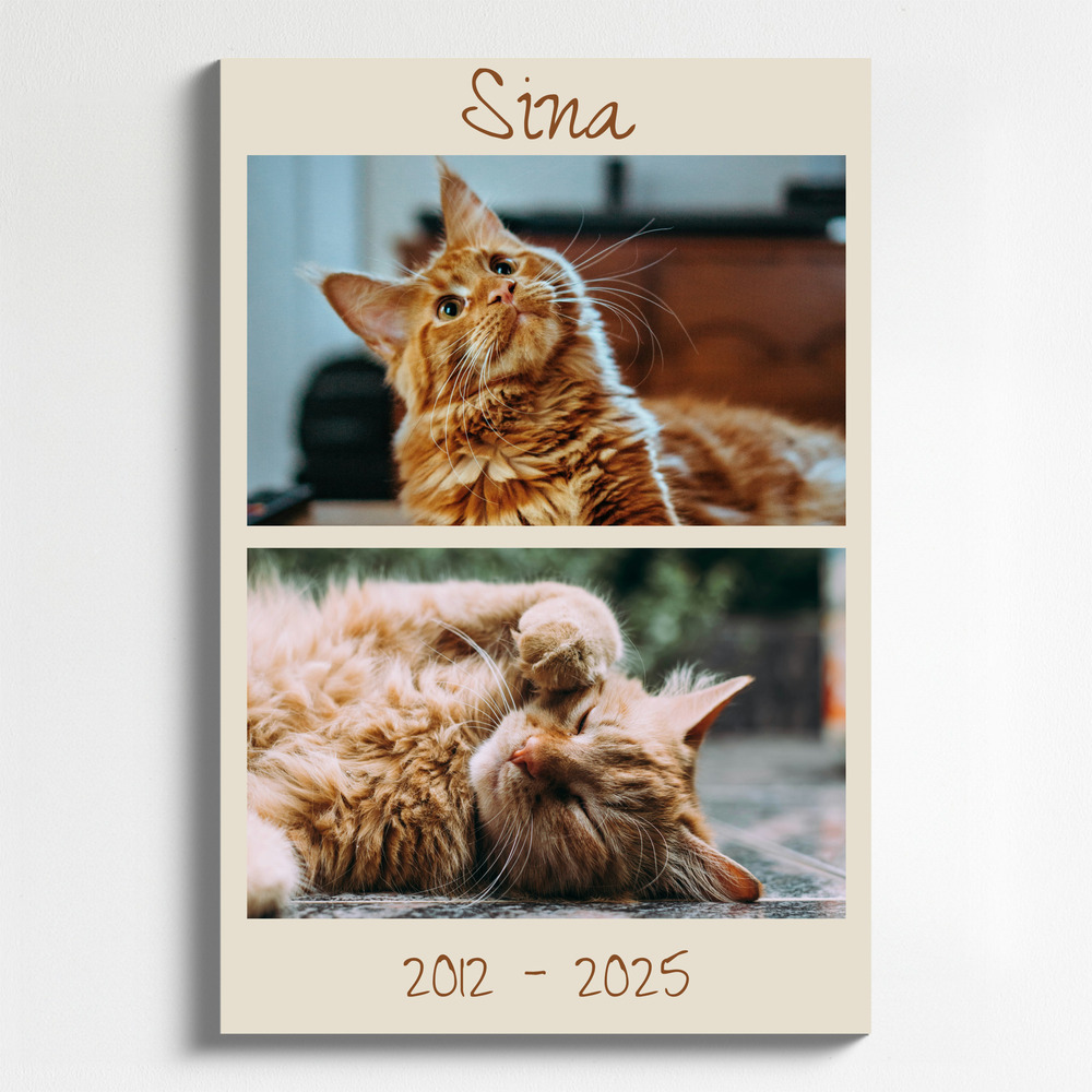 Collage de fotos en memoria de un gato en lienzo vertical, con nombre y años de vida sobre fondo beige