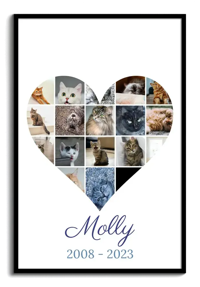 Collage de fotos en corazón en recuerdo de un gato, con nombre y años de vida, en marco negro