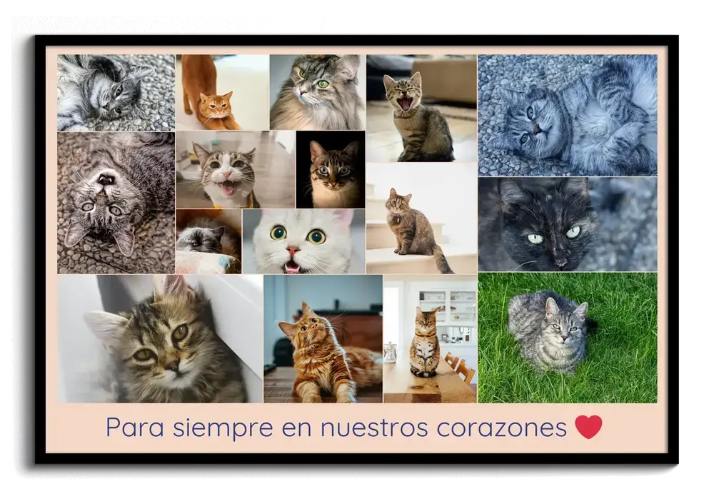 Collage de fotos en recuerdo de un gato, en formato horizontal con dedicatoria y corazón rojo, en marco negro