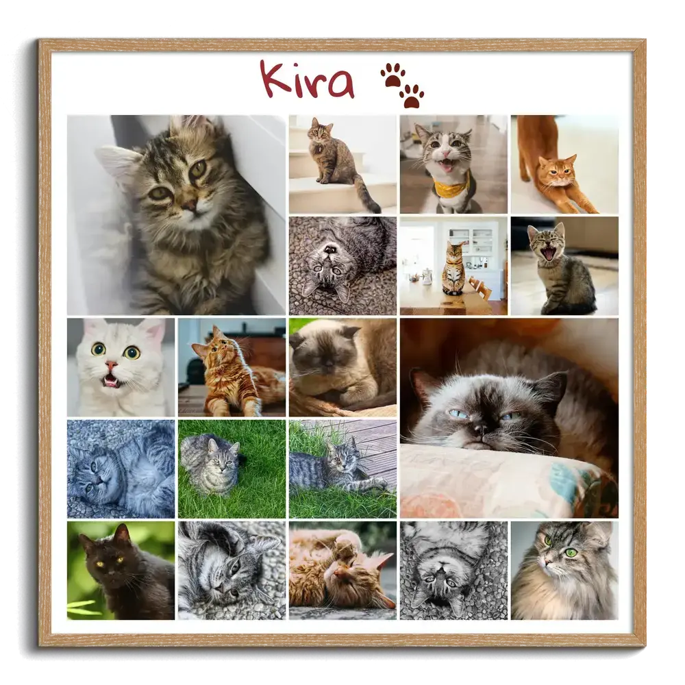 Collage de fotos en memoria de un gato con cuadrícula variada, nombre y huellas, en marco de madera natural