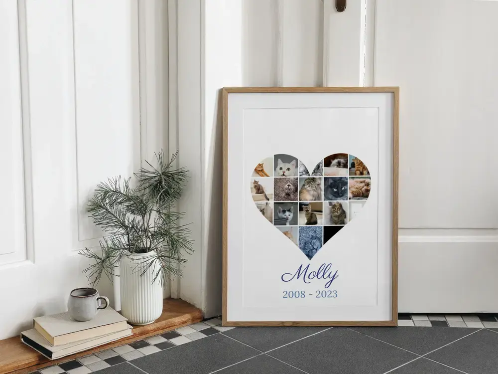 Collage en corazón en memoria de un gato, con nombre y fechas, en marco de madera en el suelo junto a un jarrón