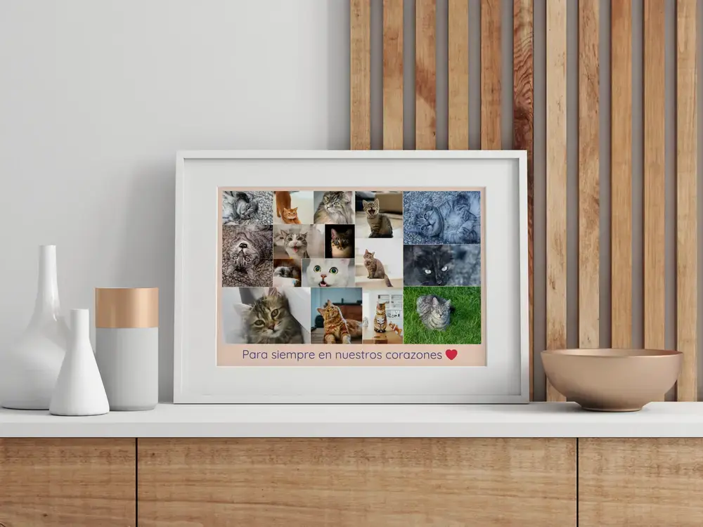 Collage de fotos en recuerdo de un gato con dedicatoria, en marco blanco sobre un aparador ante listones de madera