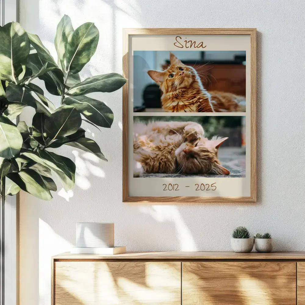 Collage en recuerdo de un gato con nombre y fechas, enmarcado en madera natural sobre un aparador junto a una planta