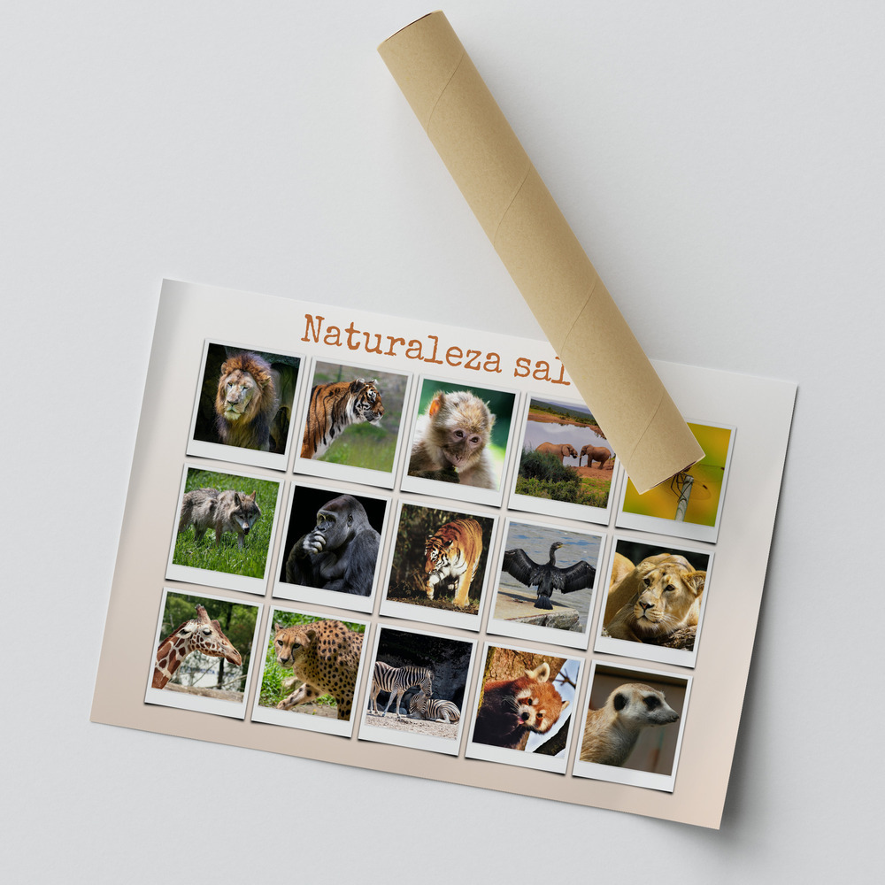 Póster de 15 fotos de animales salvajes estilo Polaroid con título, sujeto con cinta sobre fondo gris