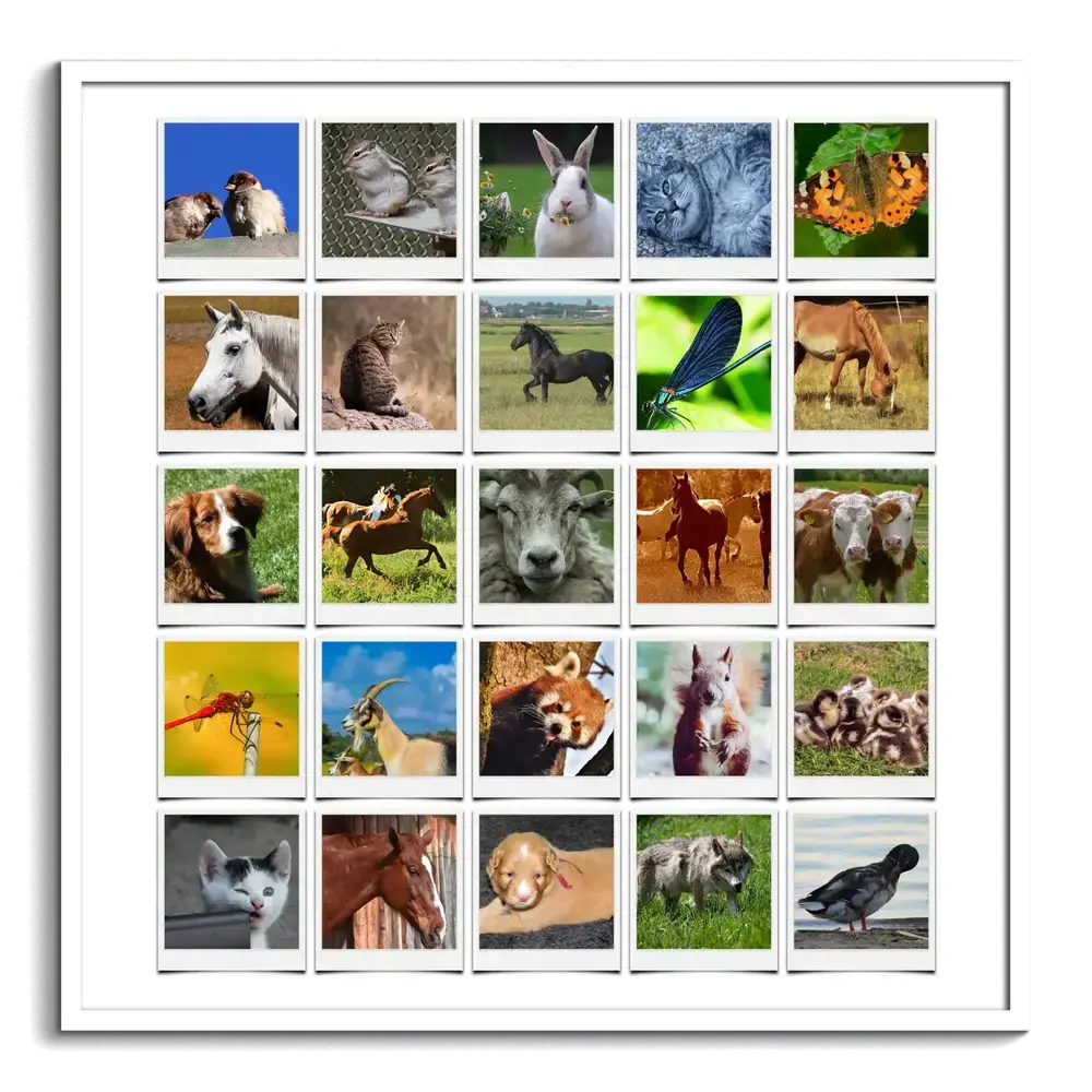 Collage de 25 fotos de caballos, mascotas y animales salvajes en estilo Polaroid con marco blanco