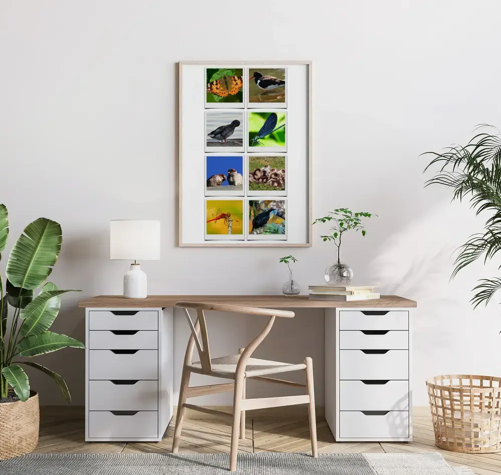 Collage de fotos de aves e insectos estilo Polaroid en marco de madera clara sobre un escritorio con plantas