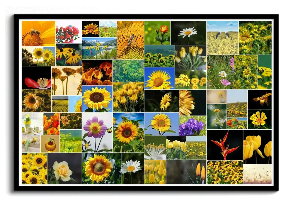 Póster con collage de 61 fotos de flores de distintos tamaños, con separaciones blancas y marco negro