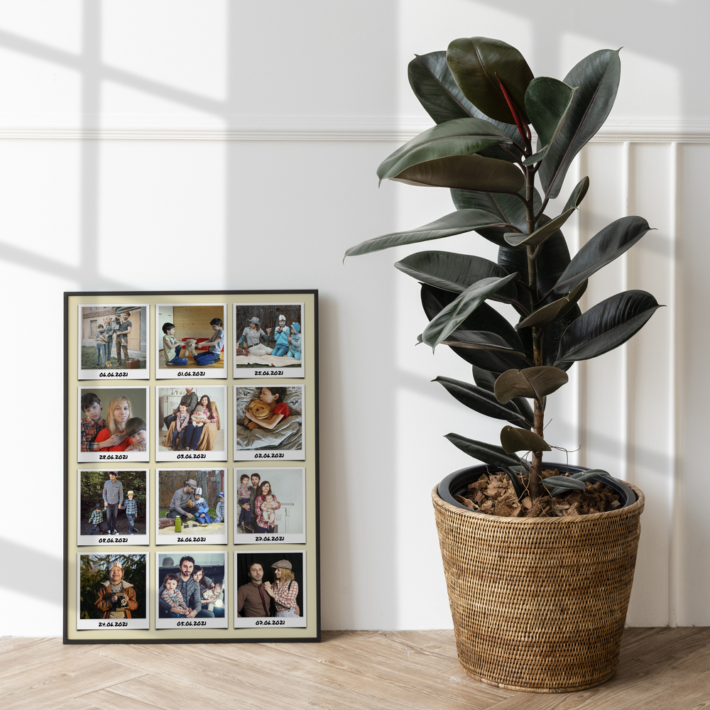 Collage de vacaciones enmarcado en el suelo junto a una planta grande, regalo personal para un compañero de viaje
