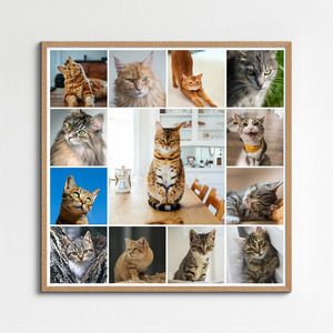 Collage de fotos de tu gato: crea y personaliza con Corazón en 4 patas