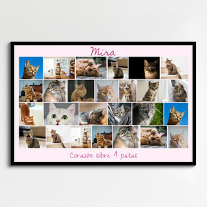Collage de fotos de tu gato: crea y personaliza con Corazón en 4 patas