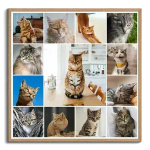 Collage de fotos de tu gato: crea y personaliza con Corazón en 4 patas