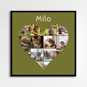 Collage corazón con fotos de tu gato: crea el tuyo con texto o nombre personalizado