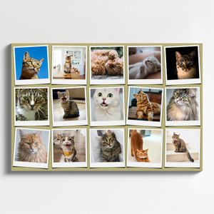 Collage Polaroid de tu gato con fotos y nombre: crea el tuyo ahora