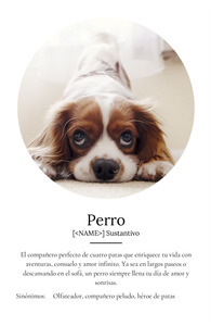 Crea tu Cartel Definición Perro Personalizado: Añade fotos y tu texto único