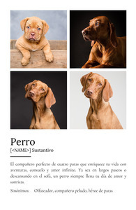 Crea tu Cartel Definición Perro Personalizado: Añade fotos y tu texto único