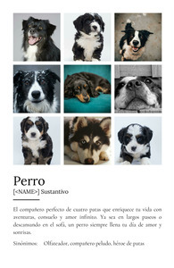 Crea tu Cartel Definición Perro Personalizado: Añade fotos y tu texto único