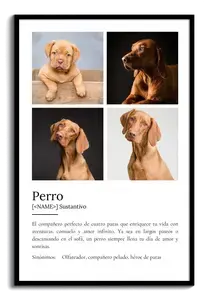 Crea tu Cartel Definición Perro Personalizado: Añade fotos y tu texto único