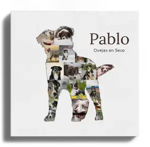 Crea tu collage de fotos personalizado con silueta de pastor australiano
