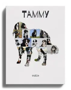 Crea un retrato personalizado de tu Berner Sennenhund con tus fotos y texto