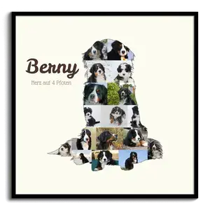 Crea un retrato personalizado de tu Berner Sennenhund con tus fotos y texto