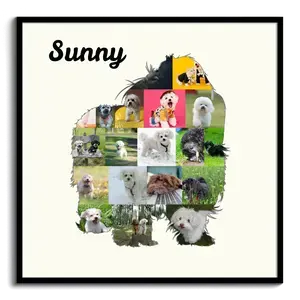 Crea tu Collage de Bolonka Zwetna: Recuerdos únicos para amantes de perros