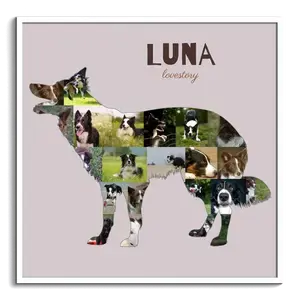 Collage Border Collie personaliza tu recuerdo perruno único