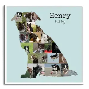 Collage Border Collie personaliza tu recuerdo perruno único