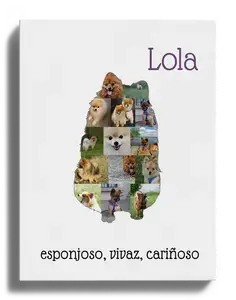 Crea tu Collage de Zwergspitz Personalizado: ¡Una memoria única para tu hogar!