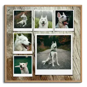 Crea tu collage de fotos de perro personalizada con estilo Polaroid y texto