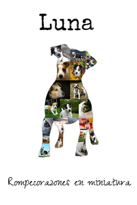 Crea tu Collage de Jack Russell: Personaliza con tus Fotos y Texto