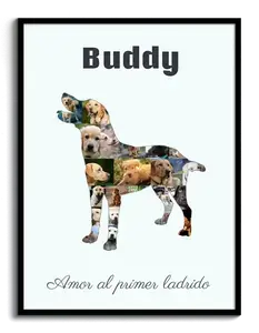 "Crea tu collage de Labrador: creatividad y recuerdos personalizados"