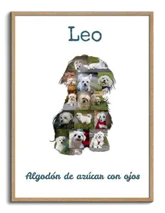 Crea tu Collage de Maltes con Fotos y Añade un Texto Personalizado